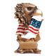 EAGLE W/FLAG BRONZE 6 STD PACK