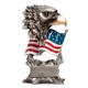 EAGLE W/FLAG SILVER 6 STD PACK